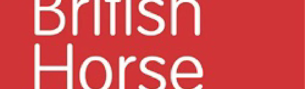 Horse Riding Lessons