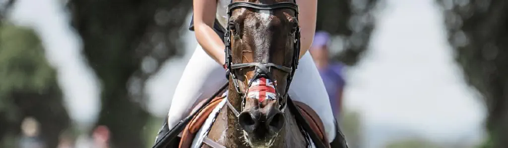 Horse Riding Lessons