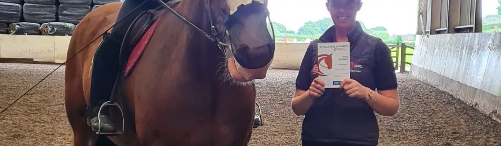 Horse Riding Lessons