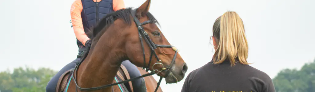 Horse Riding Lessons