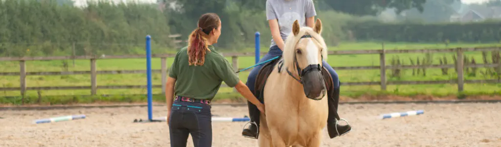 Horse Riding Lessons