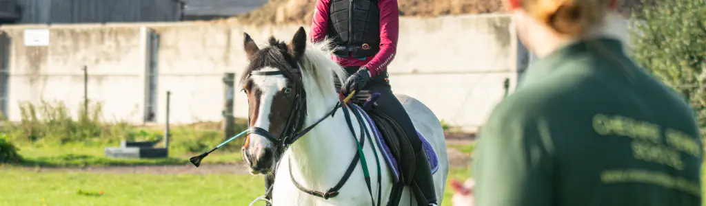 Horse Riding Lessons