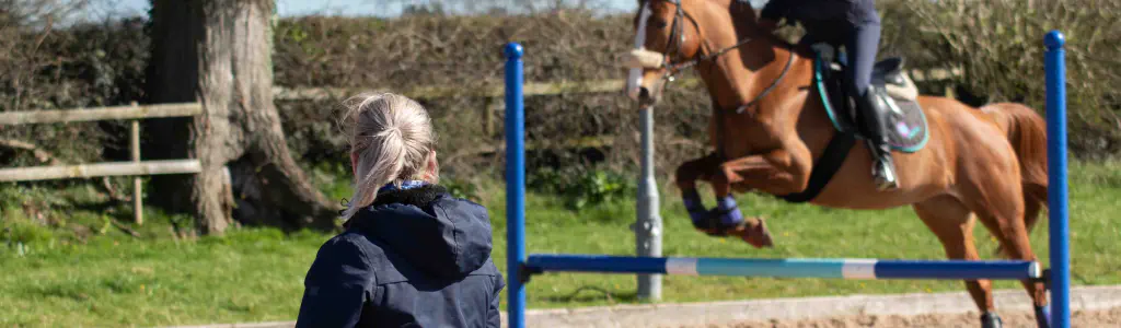 Horse Riding Lessons