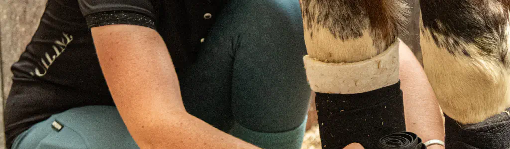 Horse Riding Lessons